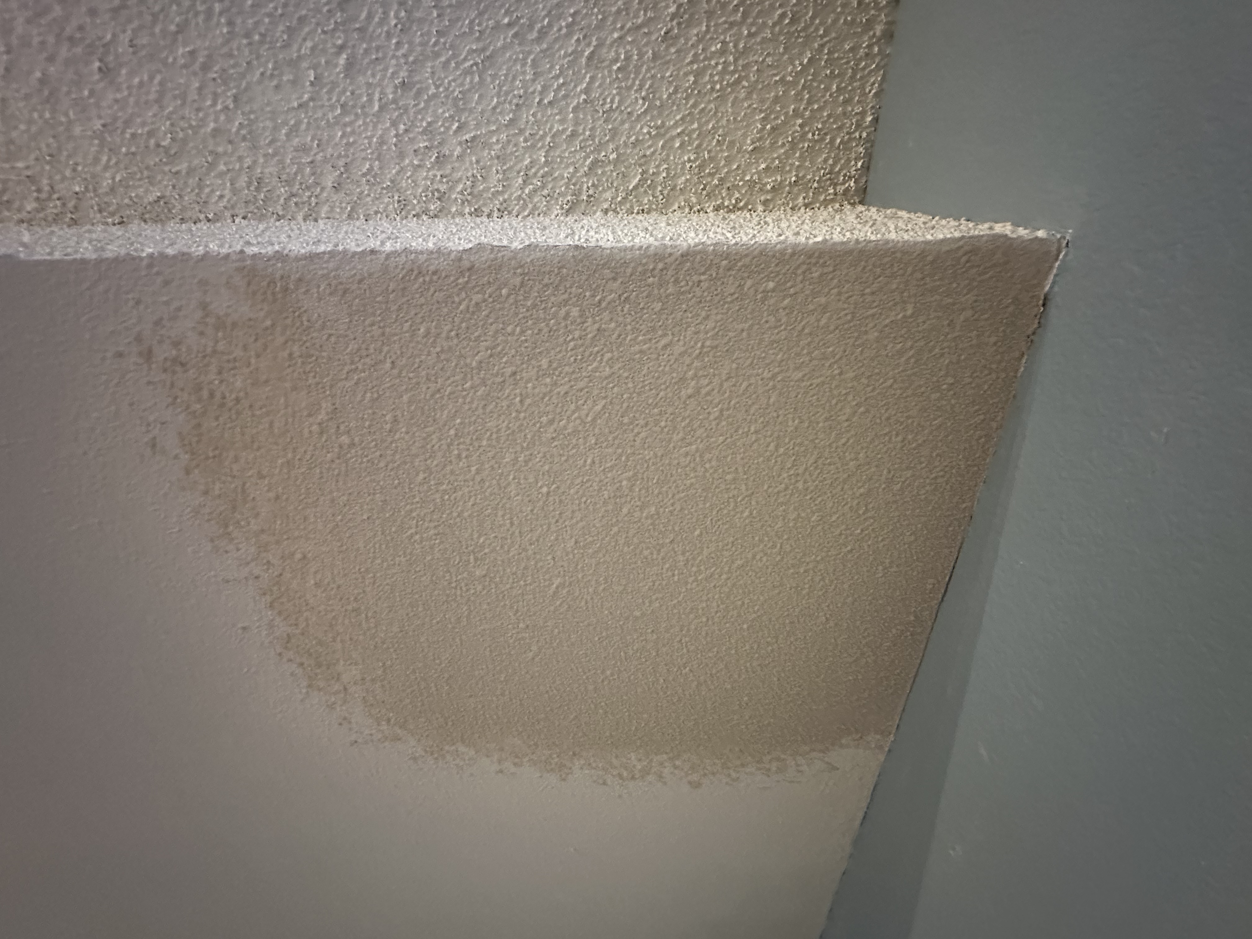 Interior Ceiling Texture - Detailed Work