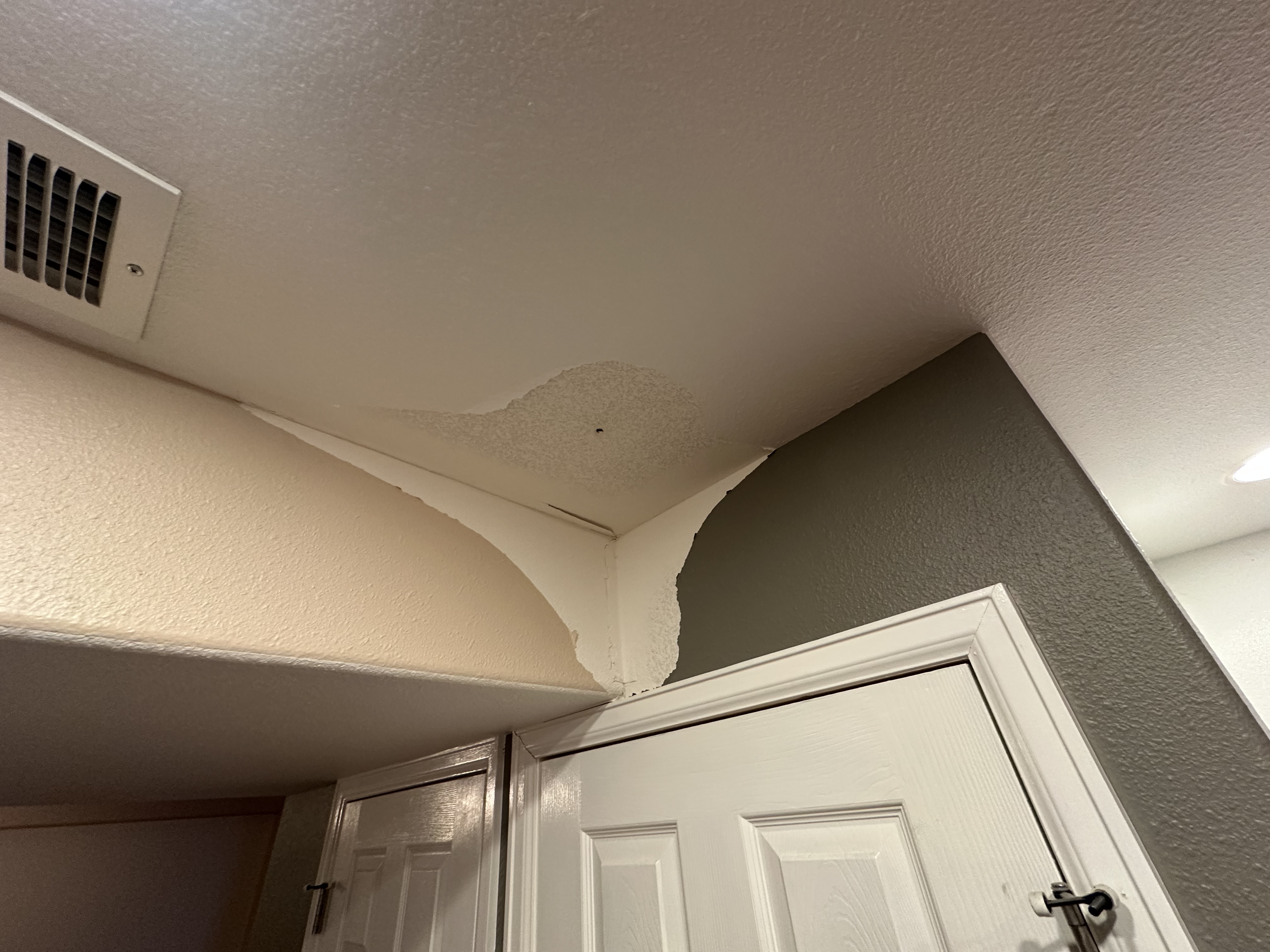 Ceiling Repair - Before Tape and Texture Work