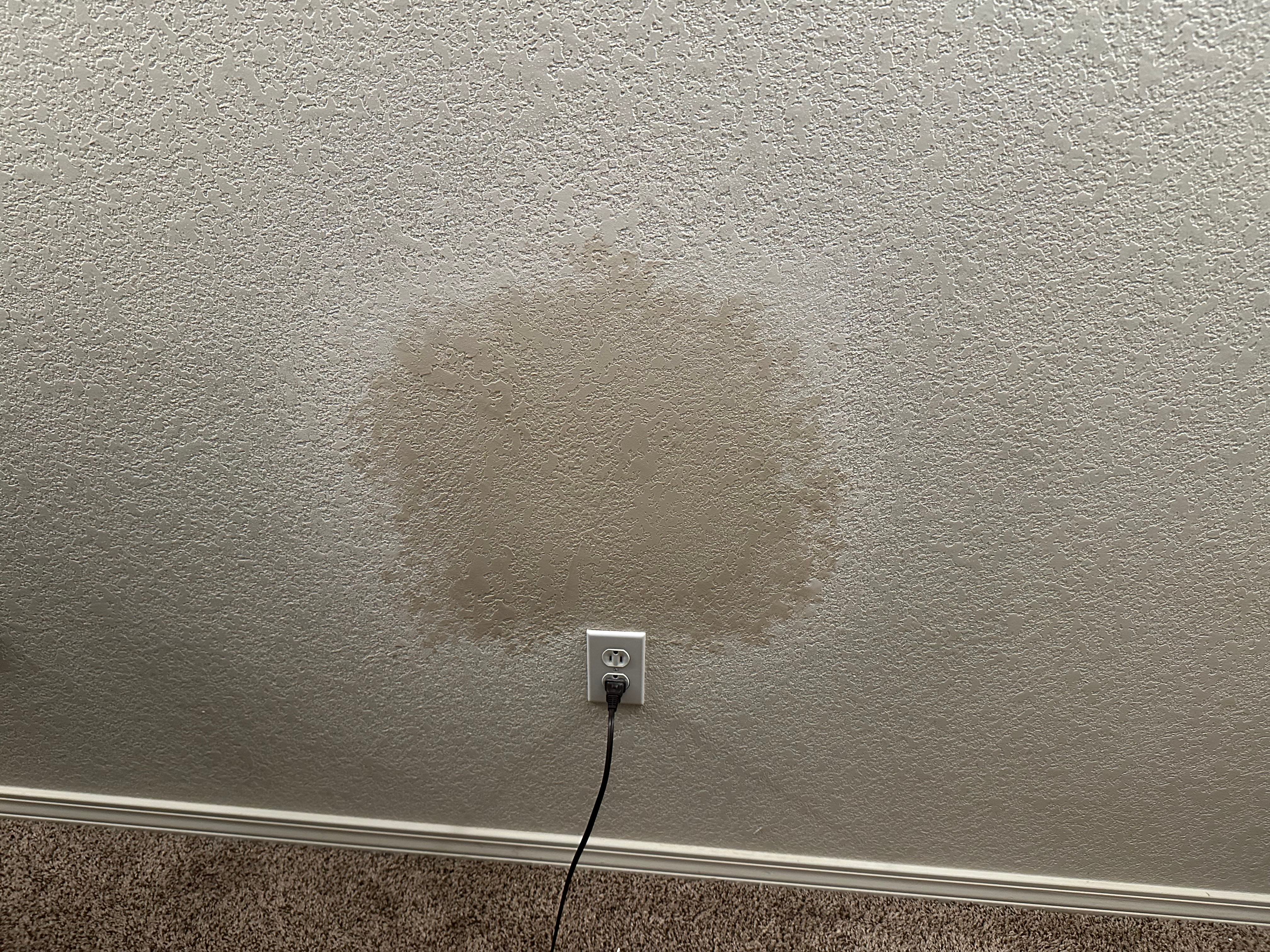 Smooth Wall Finish - Professional Interior Paint